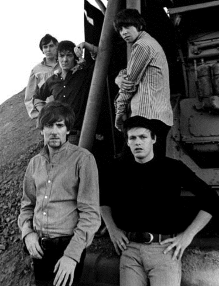 The hollies